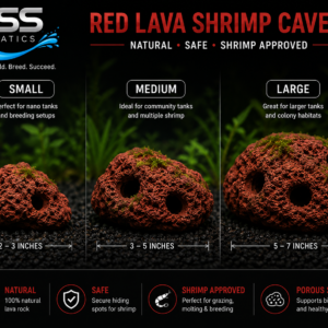 Red Lava Rock Shrimp Cave | Natural Aquarium Hide | Small, Medium & Large