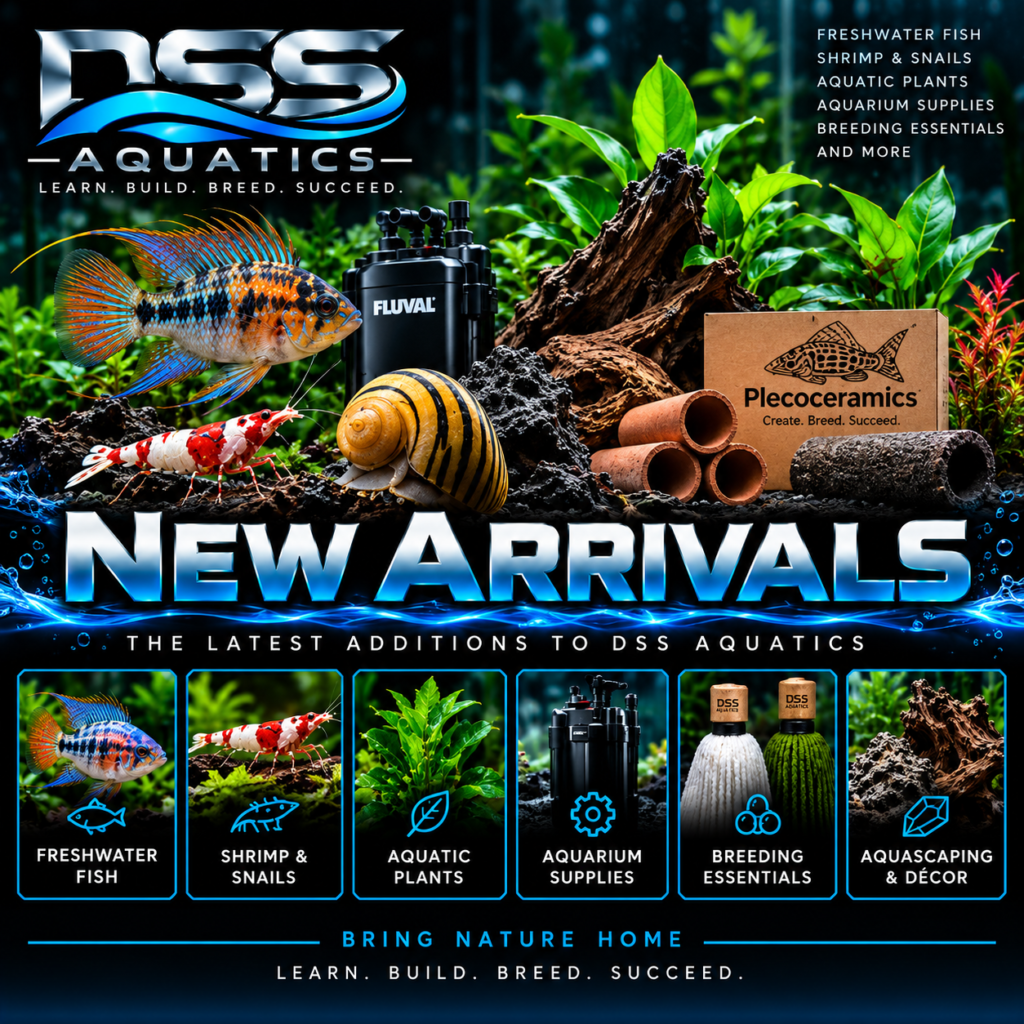 New Arrivals